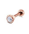 Cute Ear Piercing TIP-2718